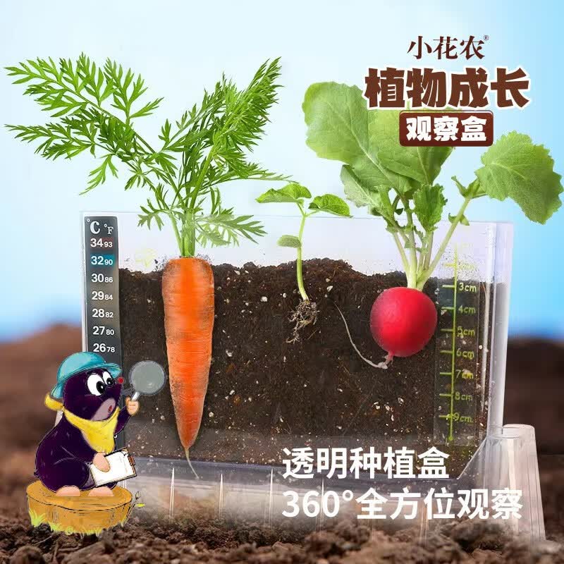 KIDNOAM儿童学生种植杯科教蔬果根系爬藤花卉根系生长观察盒 植物根系观察（1盒6款））高性价比高么？
