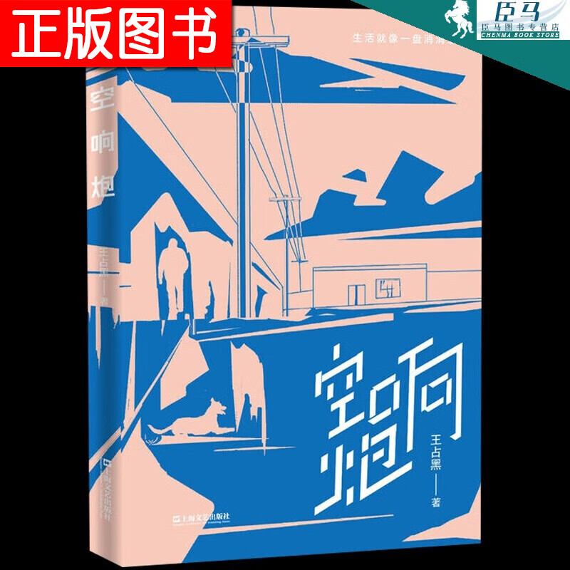空响炮(2019年新版)王占黑 著 获得