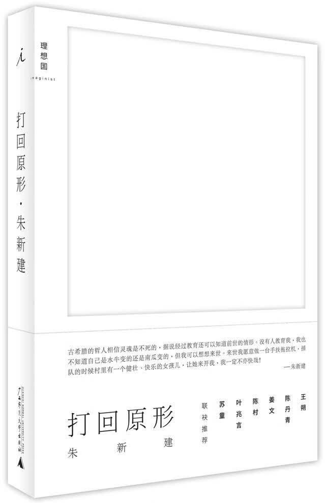 打回原形 朱新建 广西师范大学出版社 9787549561018