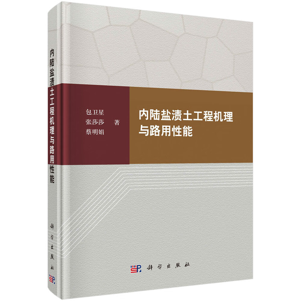 内陆盐渍土工程机理与路用性能