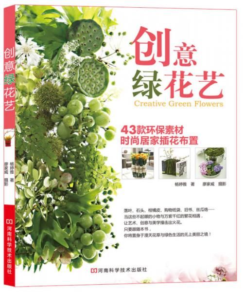 创意绿花艺9787534949296河南