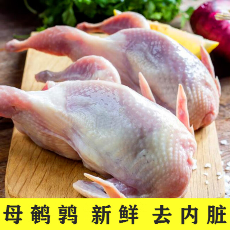 6两左右大母鹌鹑 10只