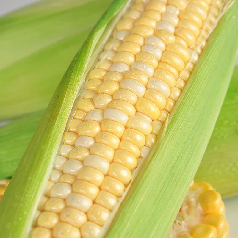 中鲜生水果玉米新鲜甜玉米 云南新鲜玉米茄果瓜蔬菜生鲜蔬菜 净重3斤 【单根300g+】金银水果玉米品质装