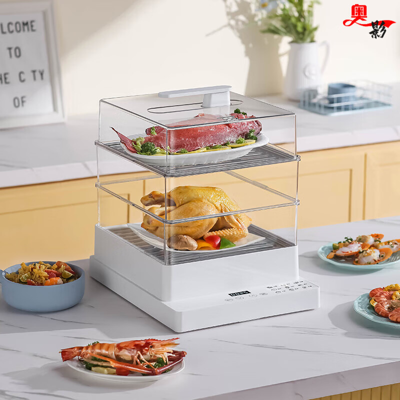 京单长方形蒸锅家用蒸煮炖多功能大容量小型多层蒸锅蒸笼蒸鱼神器 智能节能电蒸锅(单层17L) 插电款