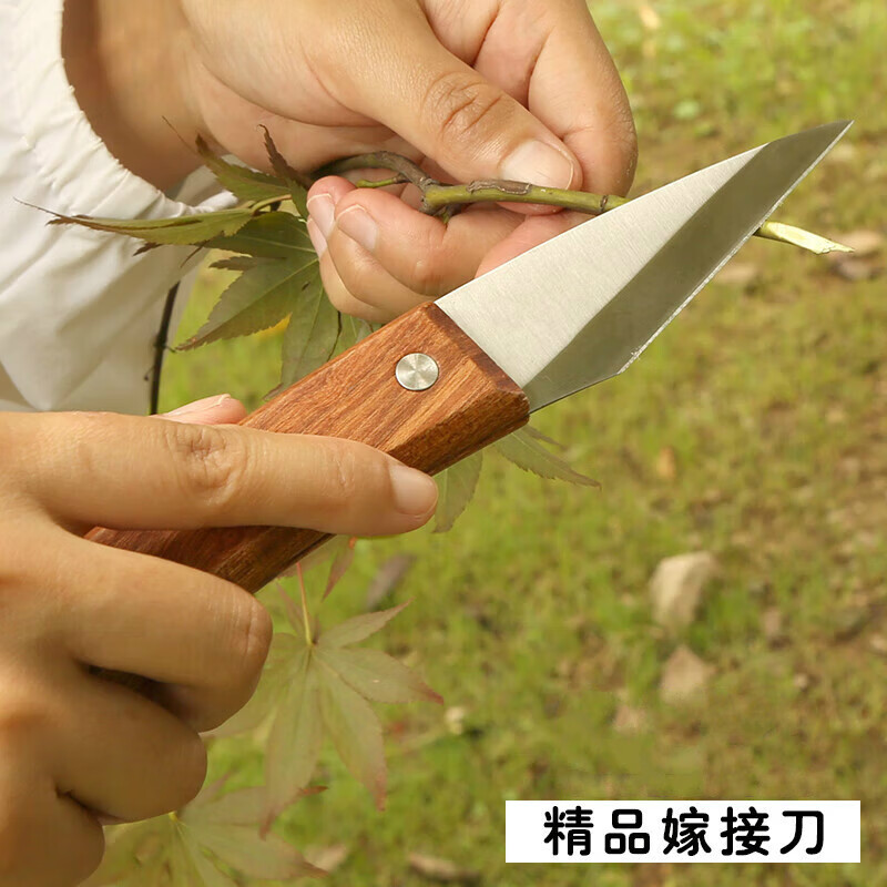 薰槿日本钢专业专用嫁接稼接苗木架接果树接树工具神器削木手工芽接刀
