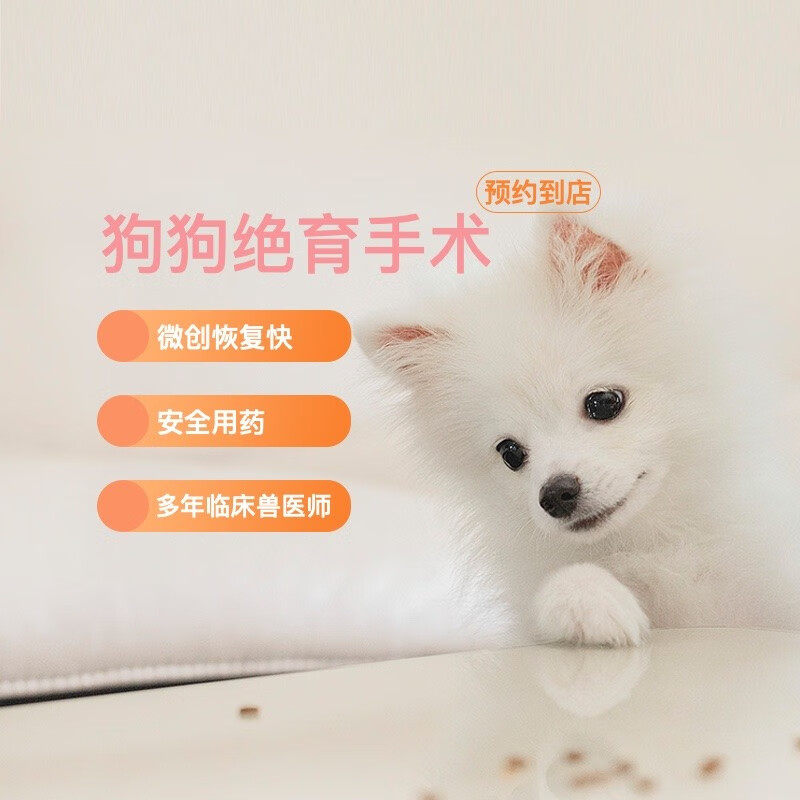 到院服务 狗狗绝育手术套餐1次含生化检查 (母狗 10kg以内)