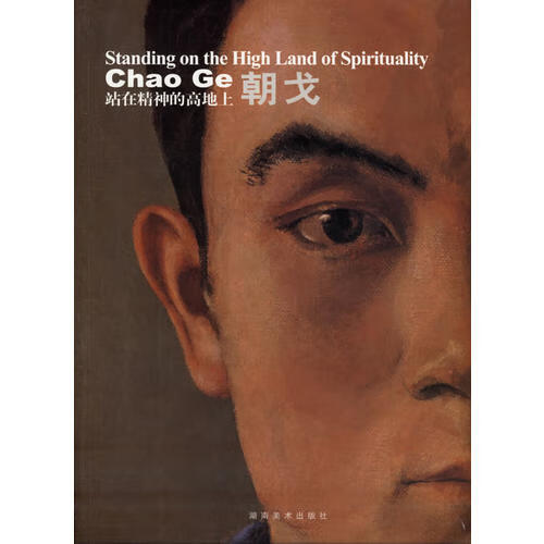 朝戈 站在精神的高地上9787535624437【正版好书,下单速发】