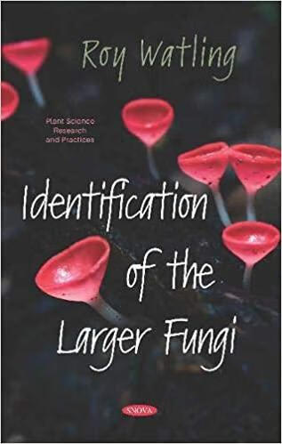 Identification of the Larger Fungi mobi格式下载