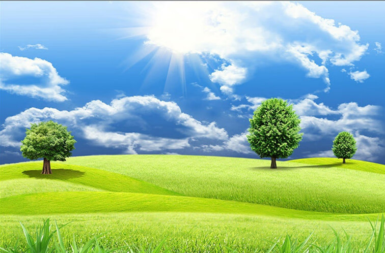 3d立体墙纸桌面墙上风景壁画自粘大自然整张卧室绿色客厅装饰背景墙