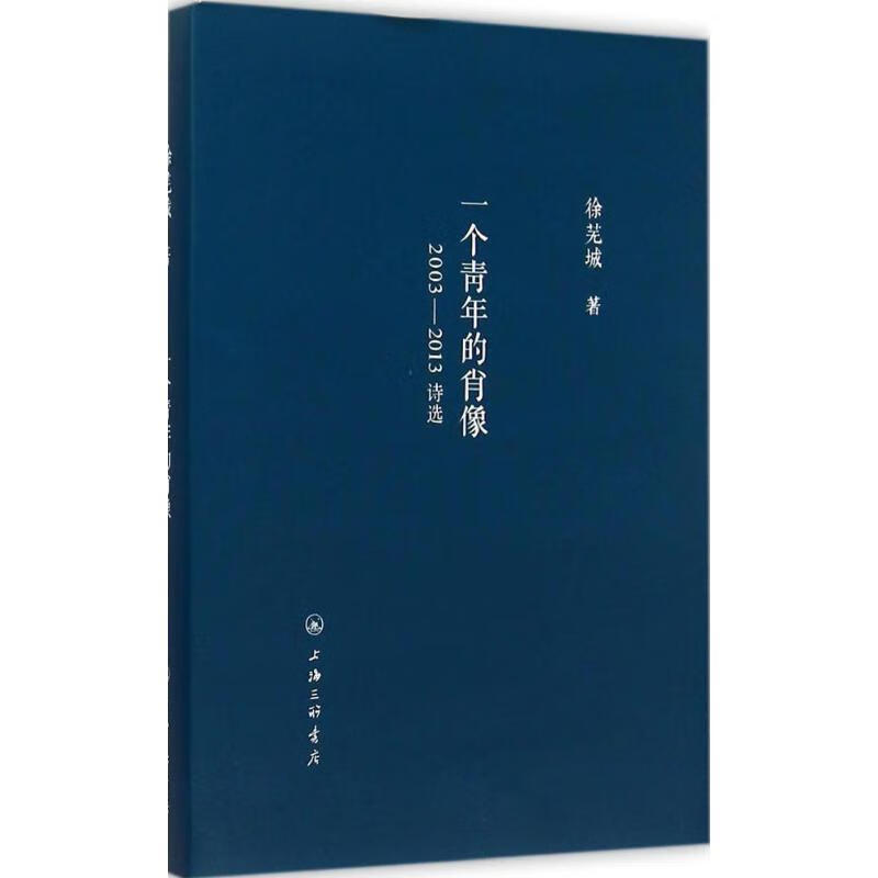 一个青年的肖像