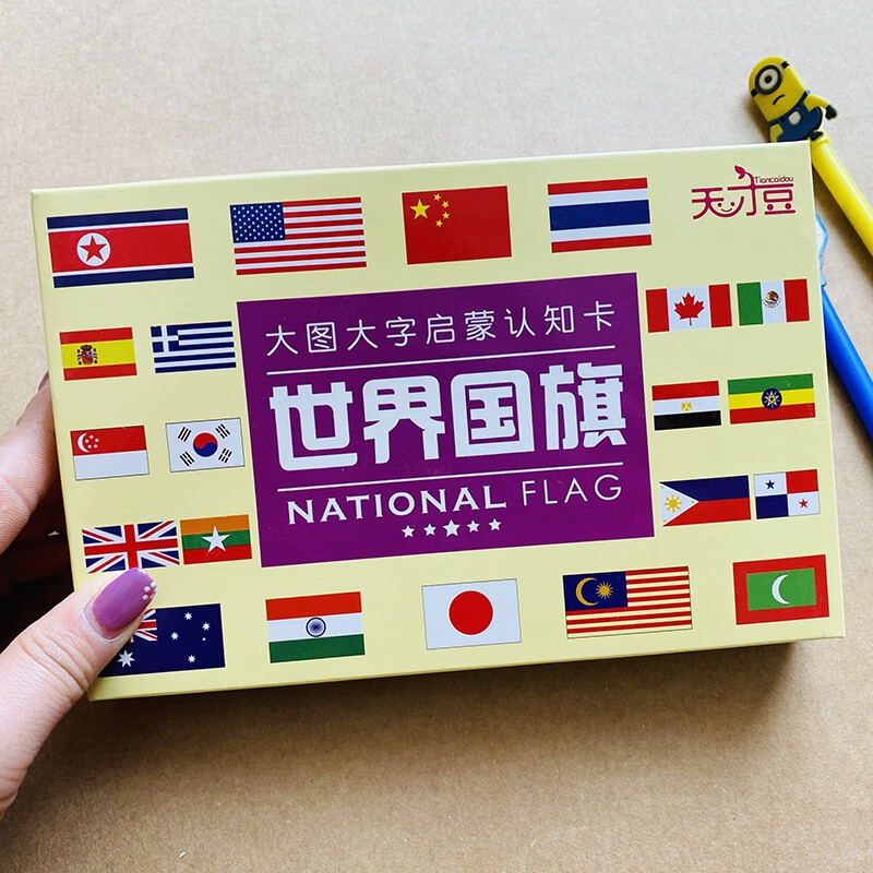儿童早教认知大卡幼儿世界拼音学习启蒙认识生字卡片玩具神器 世界