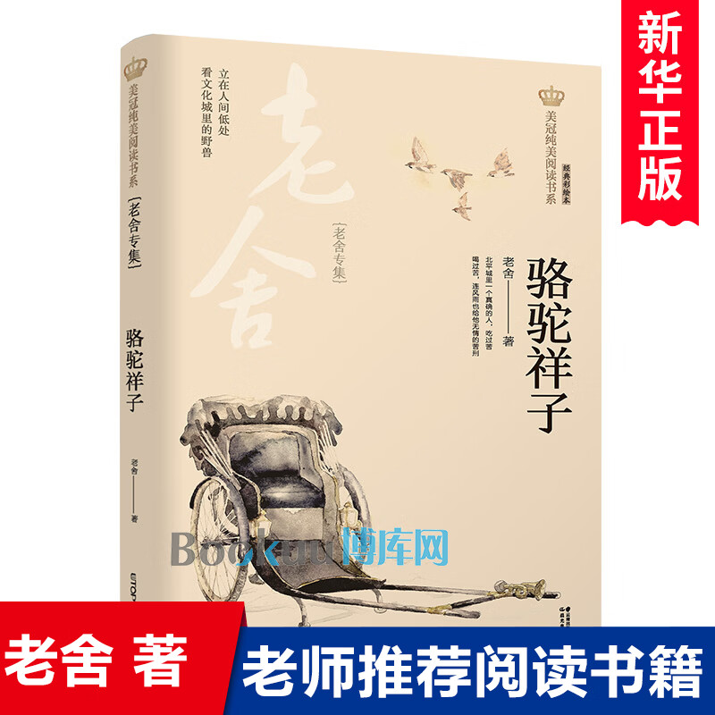 骆驼祥子(老舍专集经典彩绘本)/美冠纯美阅读书系 儿童文学名家名作