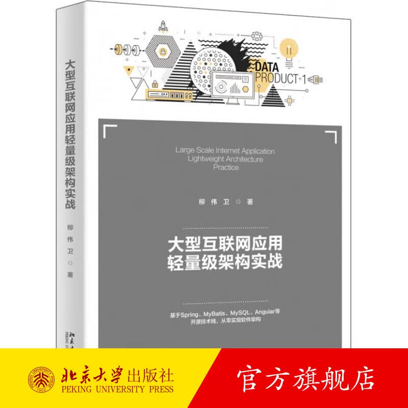 大型互联网应用轻量级架构实战 北京大学旗舰店正版