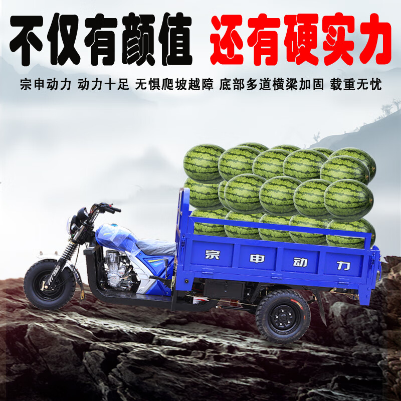 runtema汽油三轮摩托车国产五轮中轴六速水冷自卸燃宗申油载重王三轮