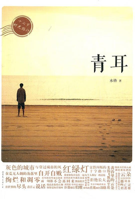 青耳 水格 著 山东文艺出版社