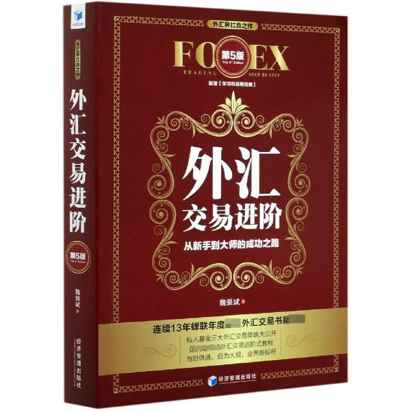 外汇交易进阶(第5版)