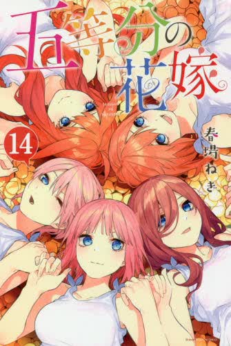 现货 进口日文 漫画 五等分的新娘 五等分の花嫁 14
