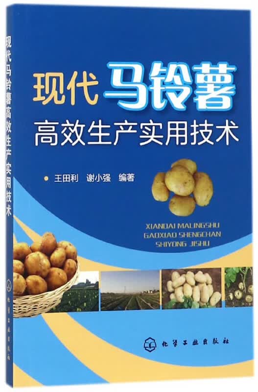 现代马铃薯高效生产实用技术