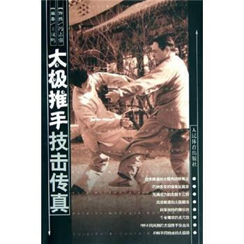 太极推手技击传真 王凤鸣【正版】