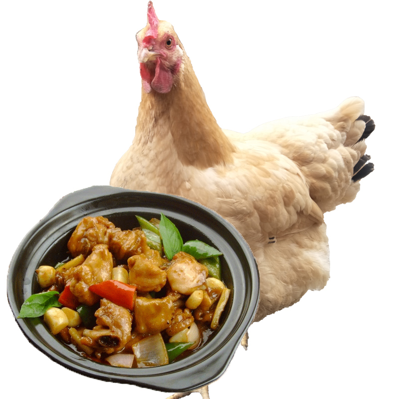 【发3只】淘穗 新鲜三黄鸡土鸡肉 生鲜整鸡杀后约700g/只