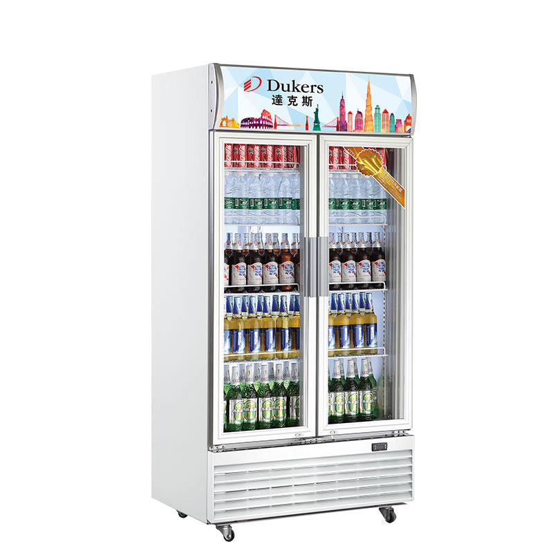 達克斯风冷立式600升展示柜冰柜 陈列柜 达克斯超市饮料柜冷柜 鲜花