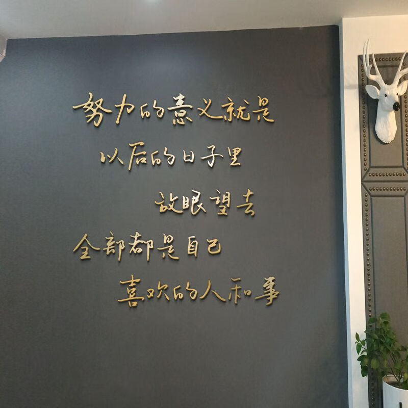文字创意企业文化墙壁背景墙画轻奢励志装饰 金色蓝丁胶努力的意义 中
