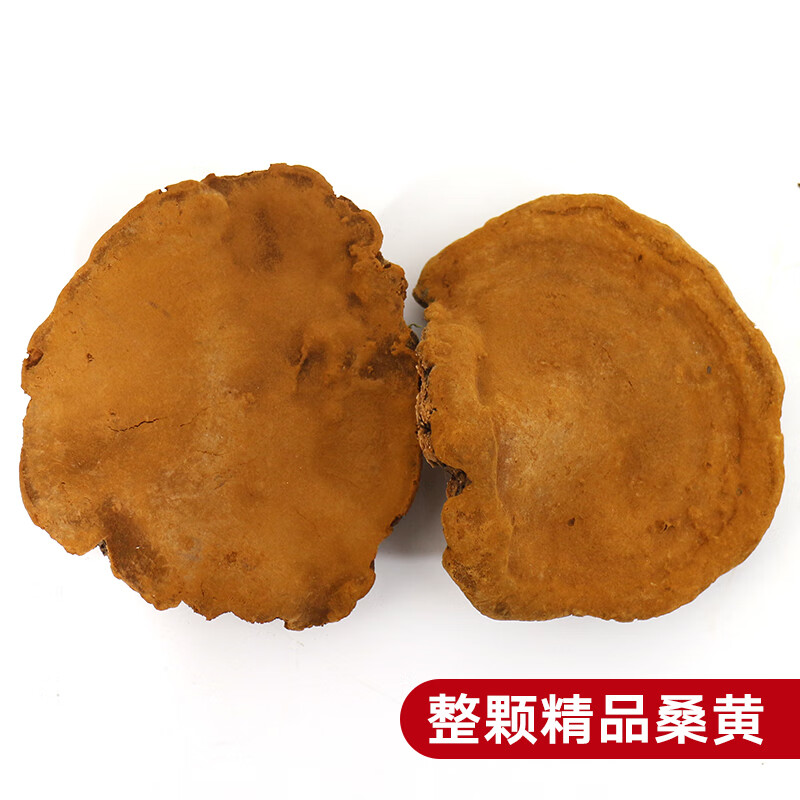 朝鲜桑黄整块特级500g桑树桑黄菌桑黄茶黄灵芝长白山云南