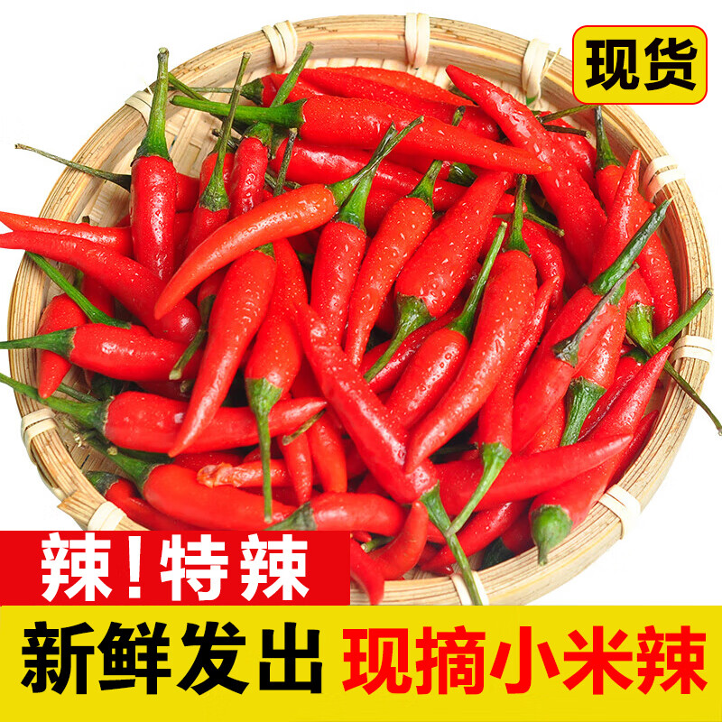 辰實【現(xiàn)摘】四川小米辣椒新鮮5斤 小米椒朝天椒 特辣紅辣椒指天椒 5斤 （紅小米辣）推薦