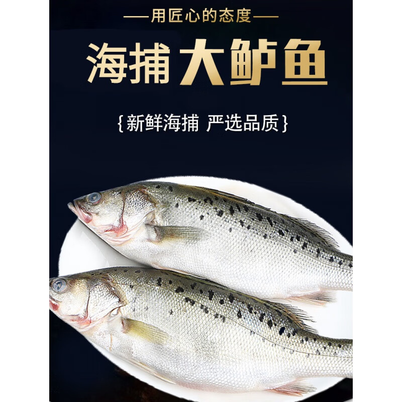 鲈鱼海鱼新鲜冷冻水产海鲜深海七星海鲈鱼海捕花鲈鱼 鲜琛觅 2条装【1