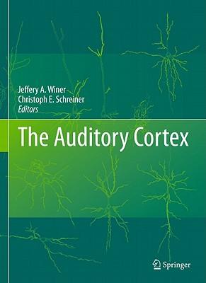 预订 高被引the auditory cortex