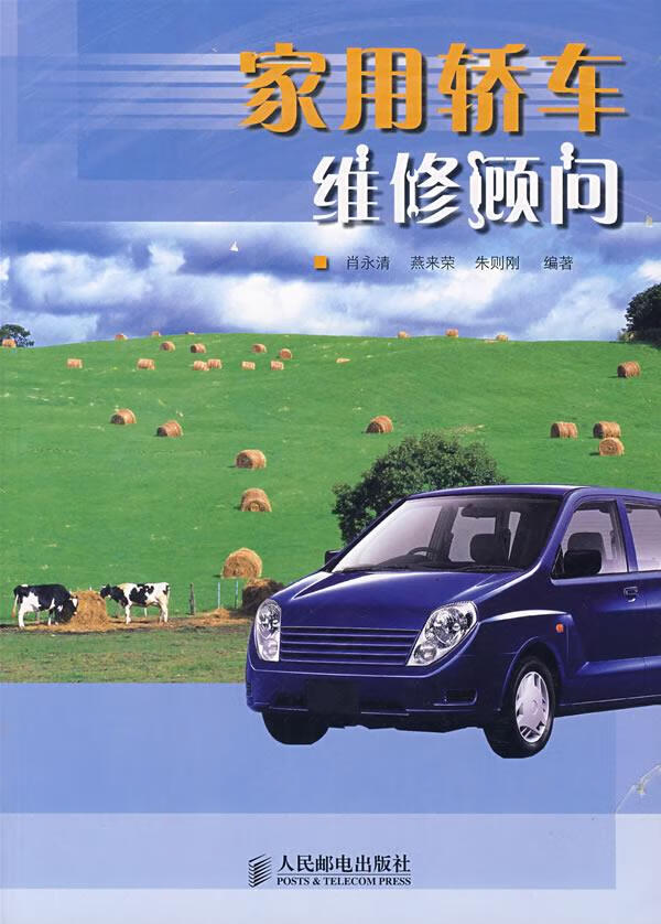 家用轿车维修顾问