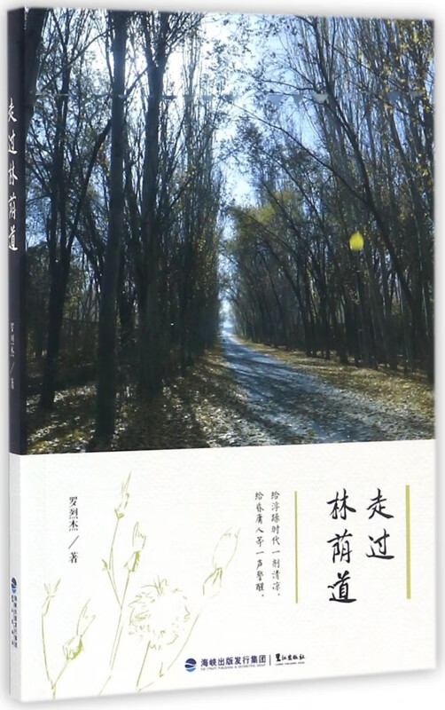 走过林荫道