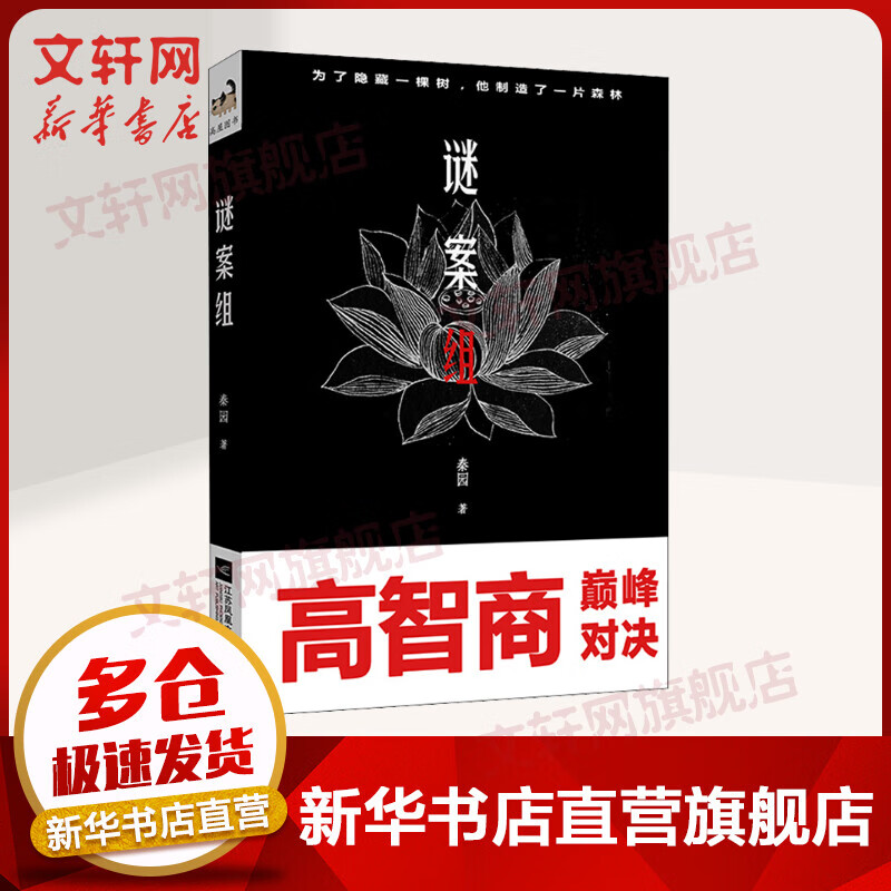谜案组