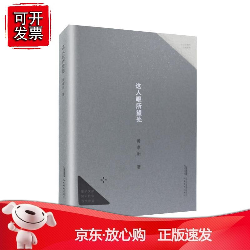 《这人眼所望处》