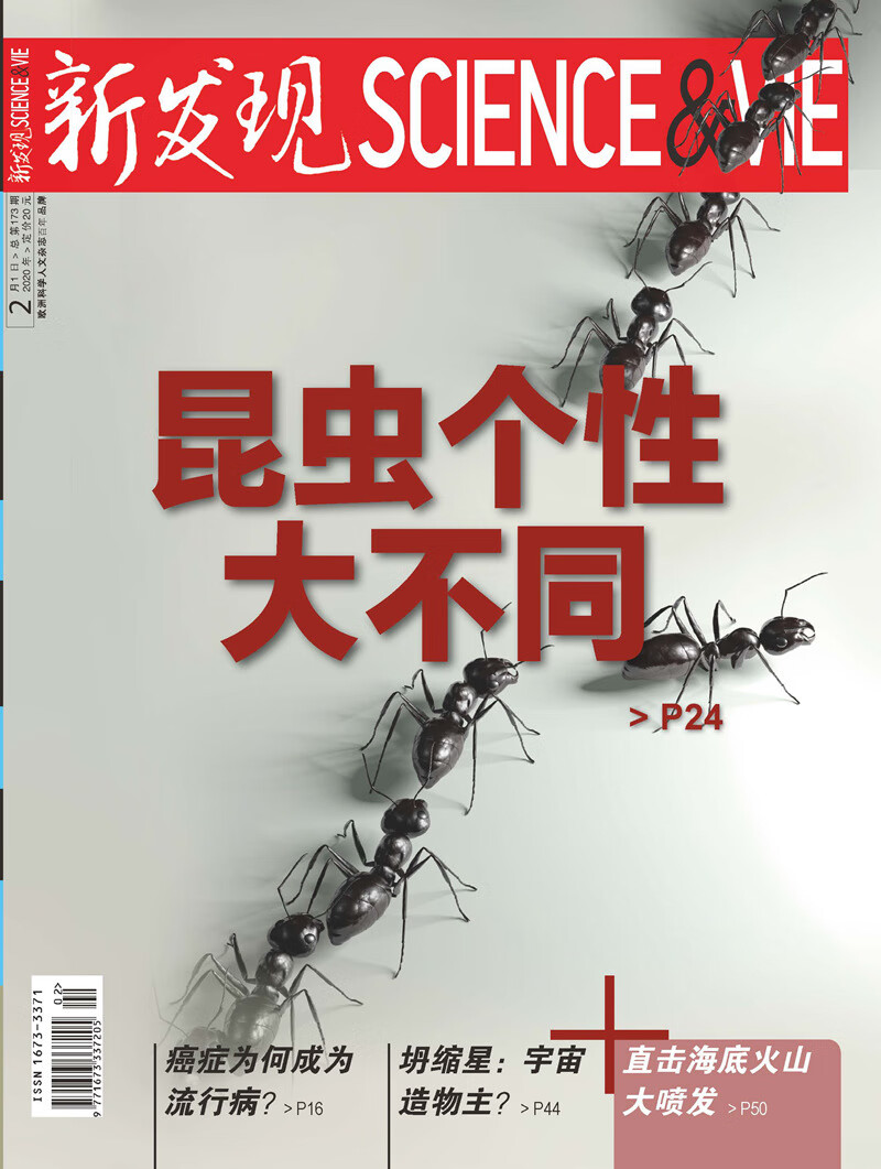 新发现（2020年第2期）
