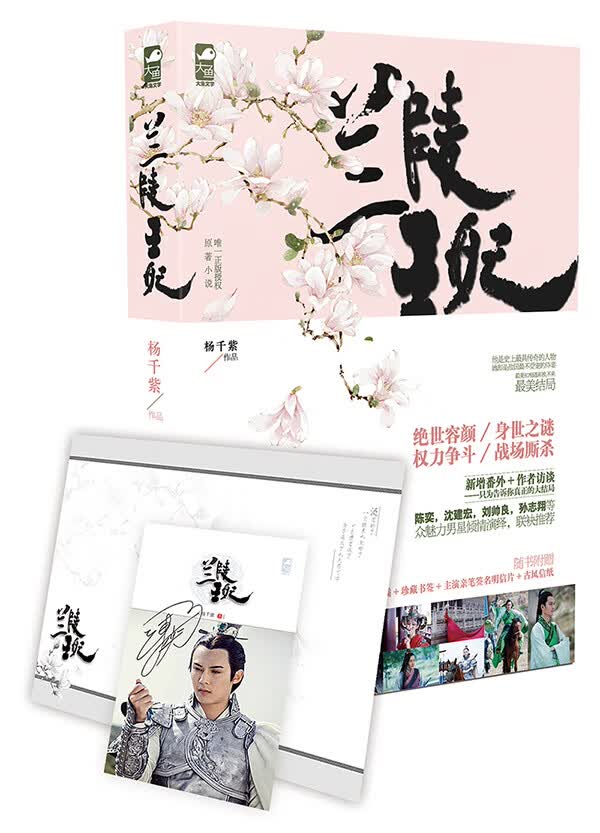 兰陵王妃 杨千紫【正版书】
