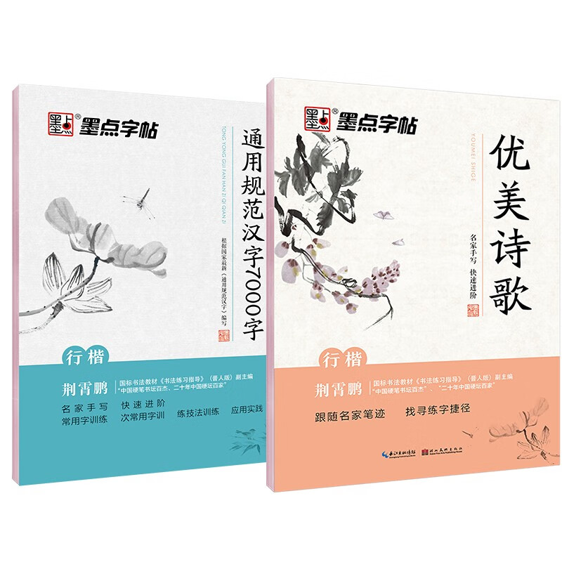 墨点字帖 行楷字帖钢笔字帖通用规范汉字7000字+优美诗歌(2本套装）