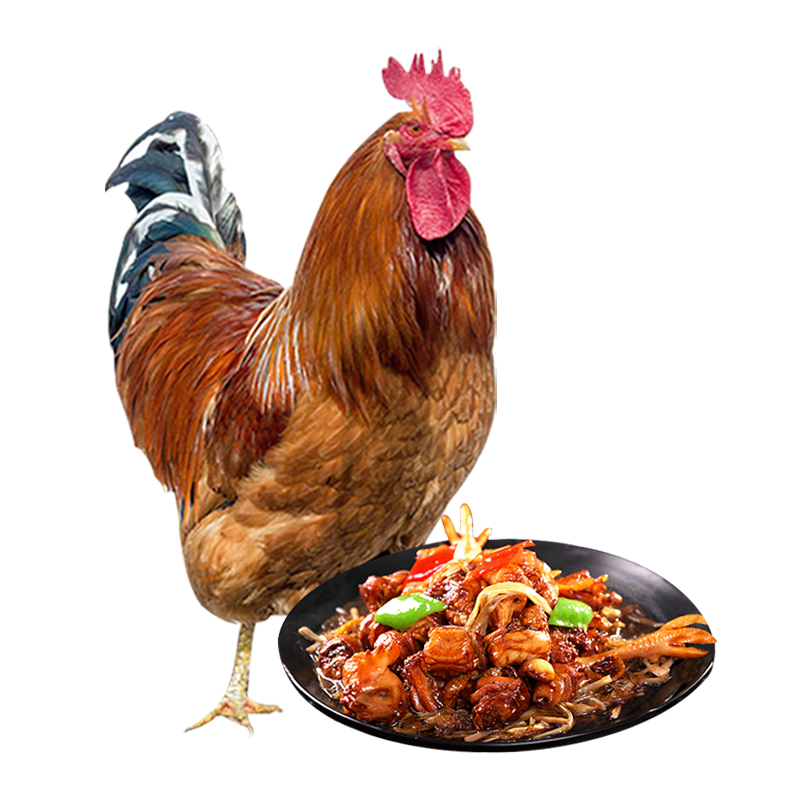 鸡肉历史价格查询网站|鸡肉价格比较