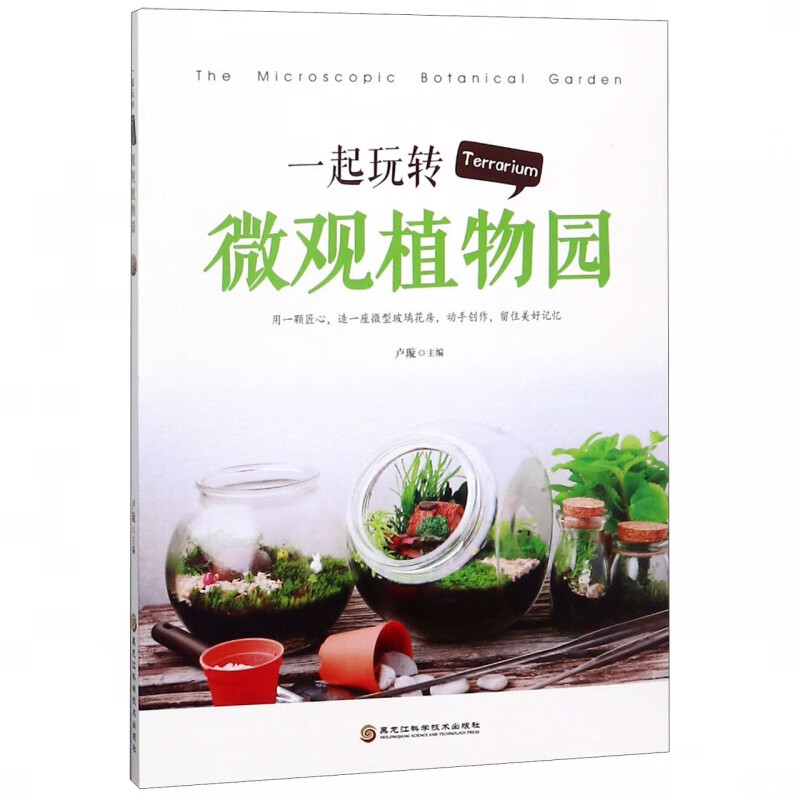 一起玩转Terrarium微观植物园