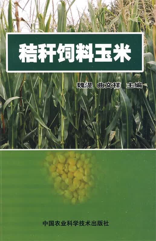 秸秆饲料玉米