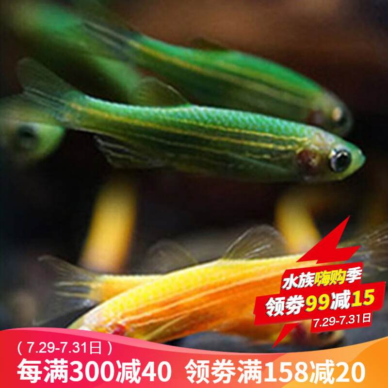 京东超市 2020-07-31 - 第7张 | 最新购物优惠券 京东超市 2020-07-31 - 第7张 | 最新购物优惠券