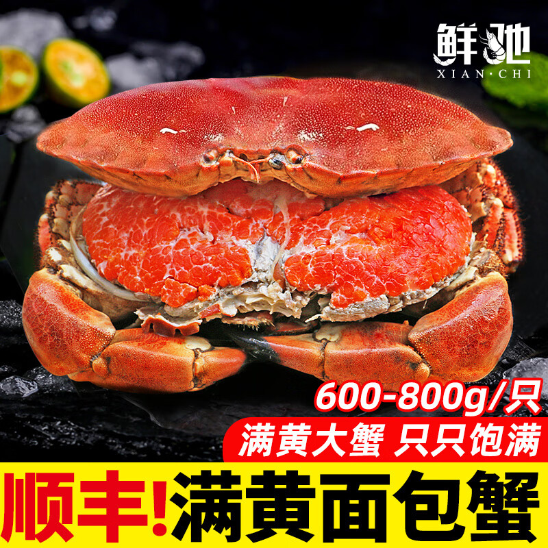 ڲзĸзʻ춳ззʺˮƽз䱦з 600-800g*1ֻشࡿ119.9Ԫ