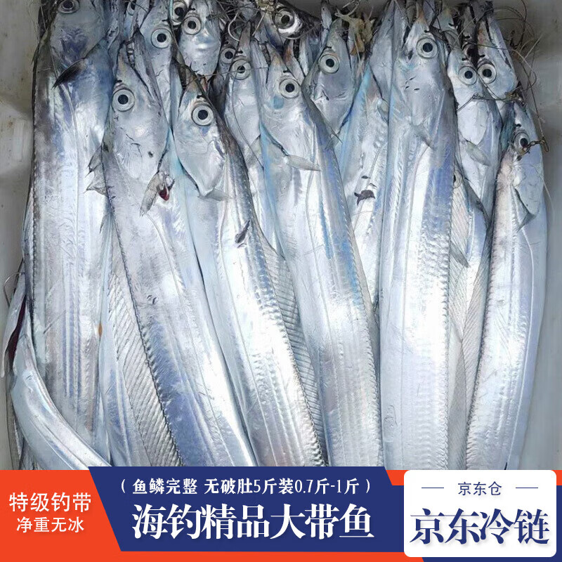 鱼类价格历史最低|鱼类价格走势