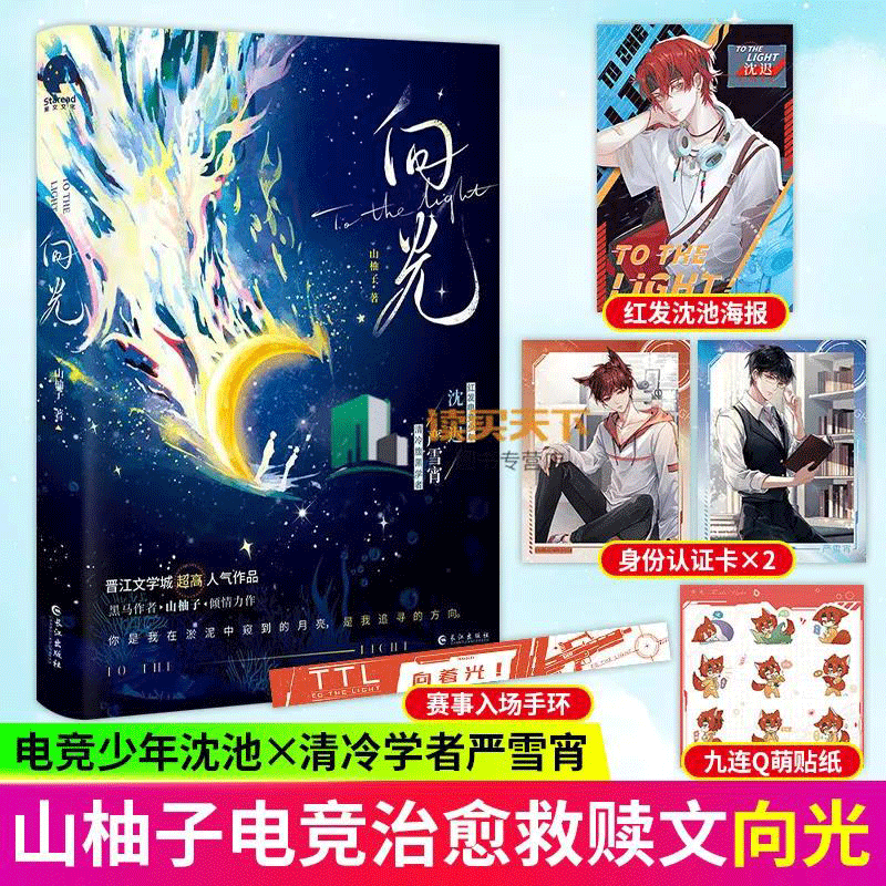 向光 山柚子著电竞少年沈池x清冷学者严雪宵青春文学电竞竞技小说