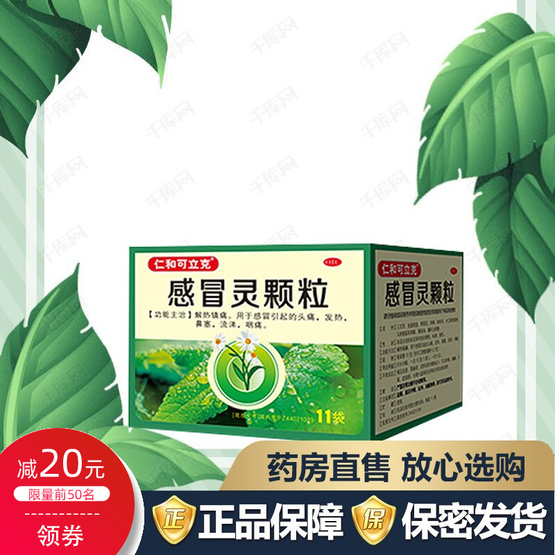 野菊花可搭小柴胡非感冒胶囊白芸山风寒头疼贴头痛用什么药包邮q