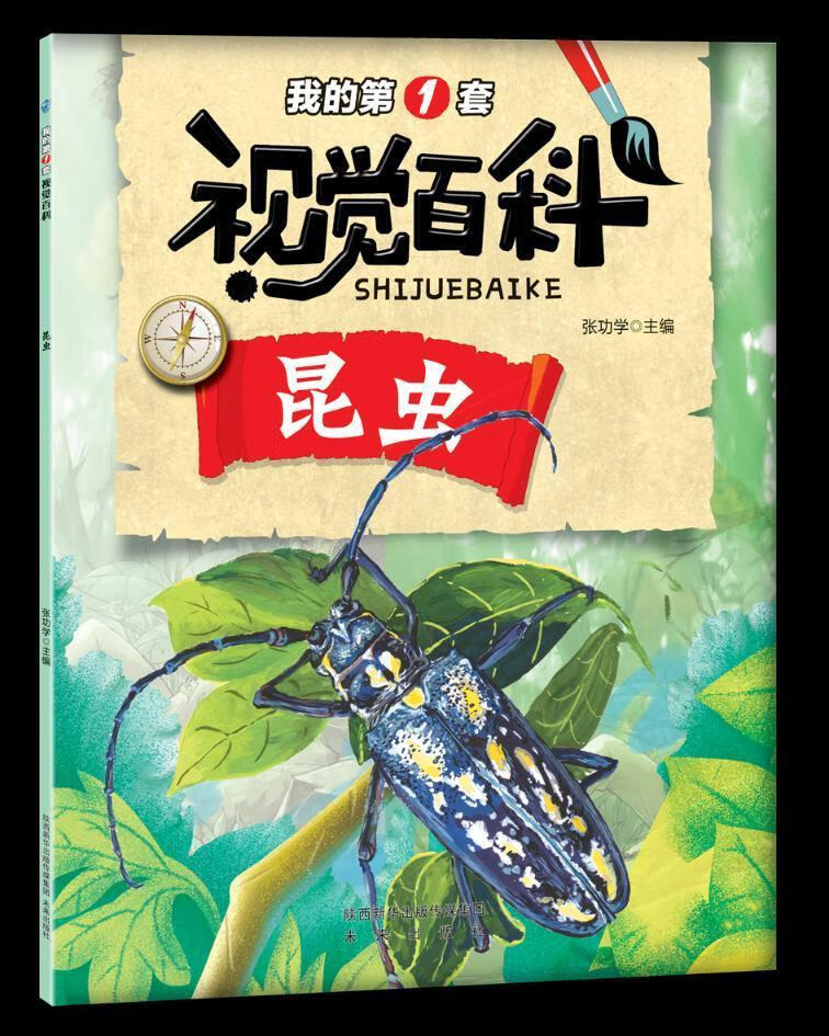 昆虫/*学/未来出版社/童书/书籍