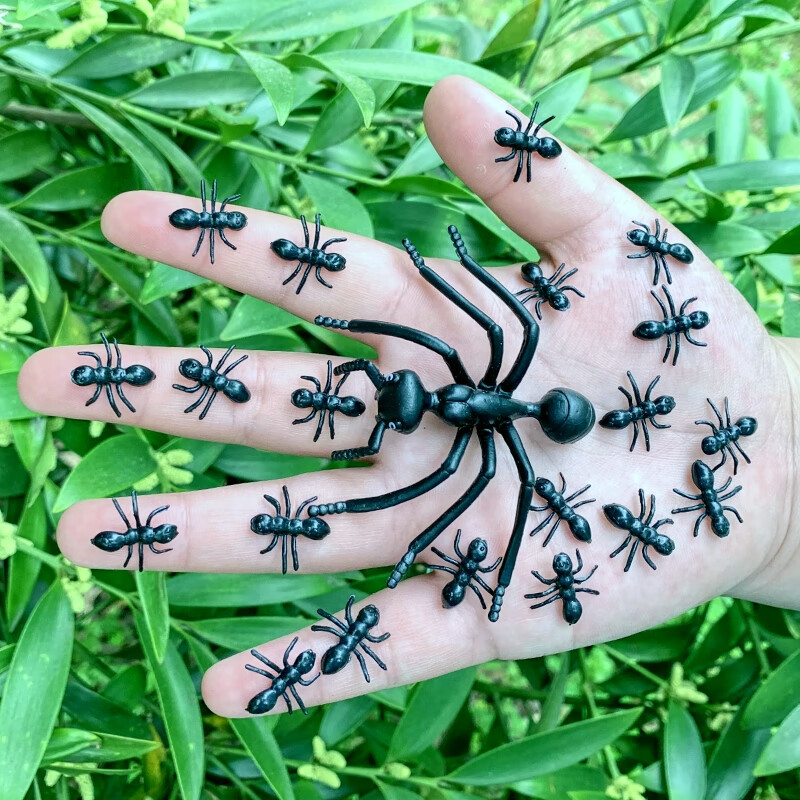 欧航仿真蚂蚁大小号黑色迷你幼儿园儿童认知玩具静态超大昆虫动物模型