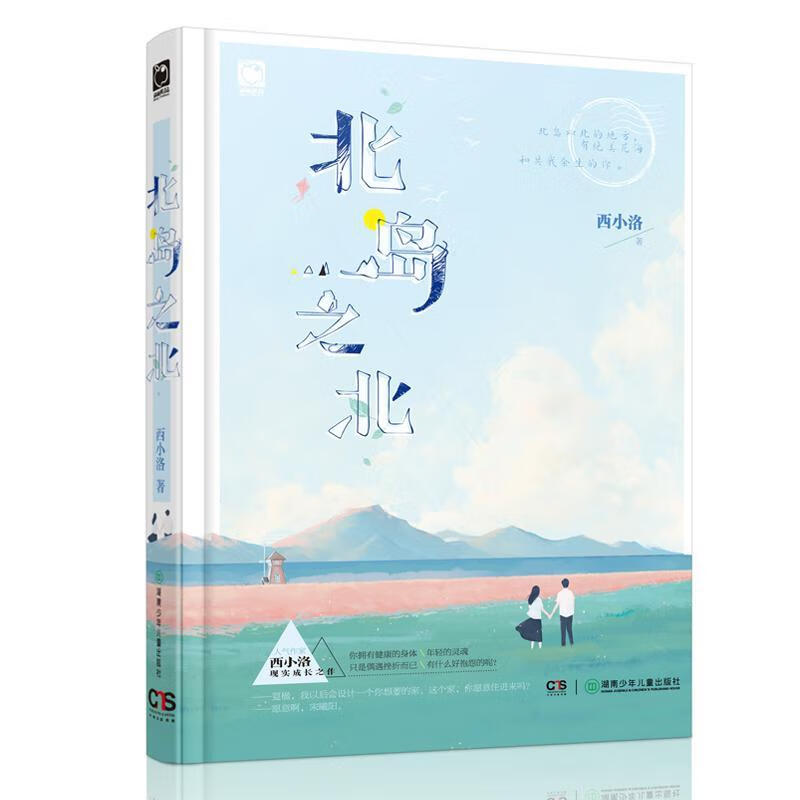北岛之北 西小洛 青春文学 9787556239603