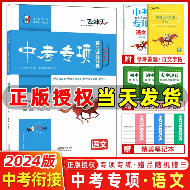 天津2024版一飞冲天中考专项精品试题分类语文 2024一飞冲天中考专项语文初中总复习专题分项练习中考一轮复习