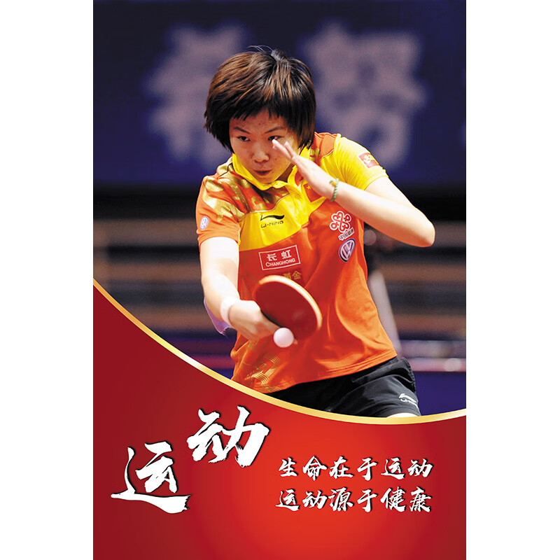 pbq01-李晓霞 30x40limi pp背胶 贴画带胶海报